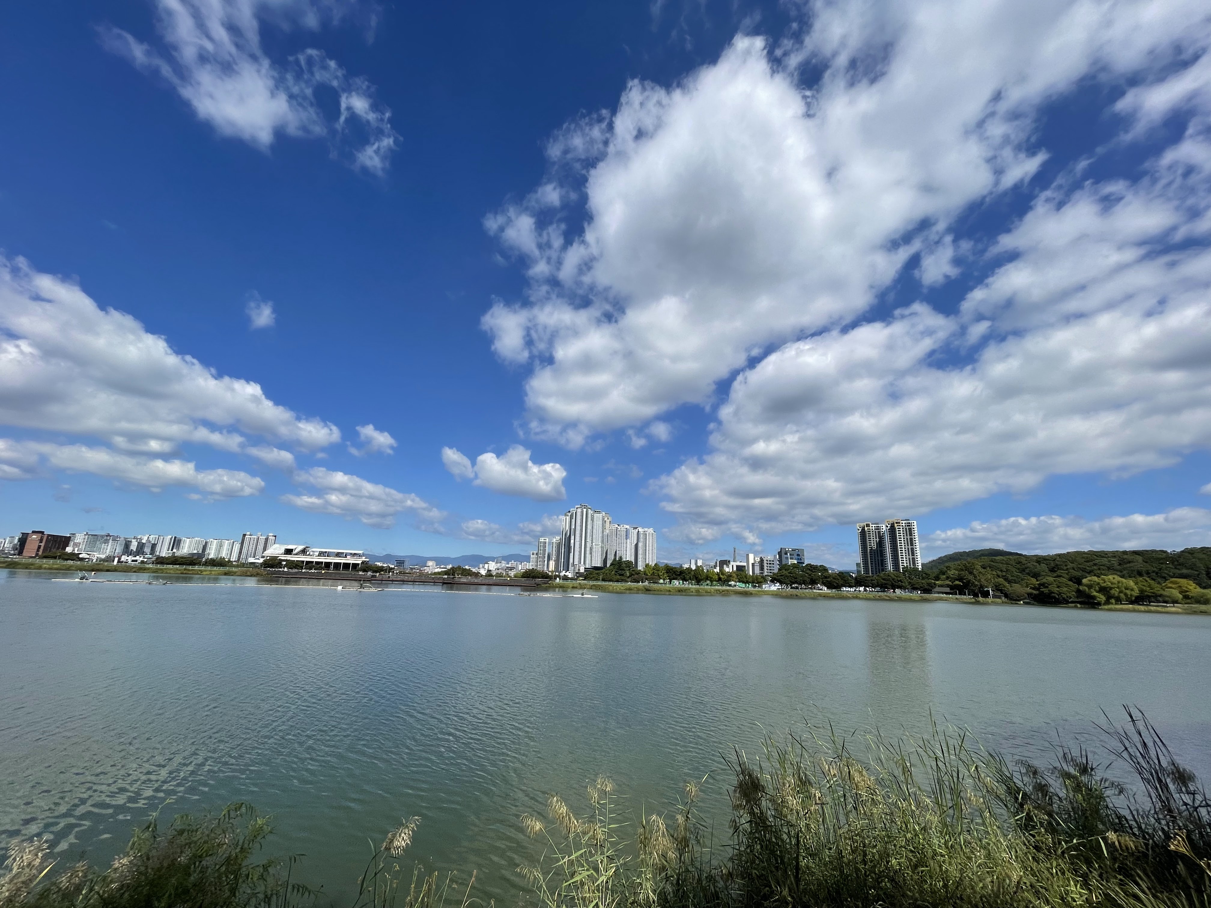 イメージ画像10